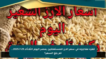 قفزة مفاجئة في سعر الأرز للمستهلكين بمصر اليوم الثلاثاء 29-7-2025.. كم بلغ السعر؟